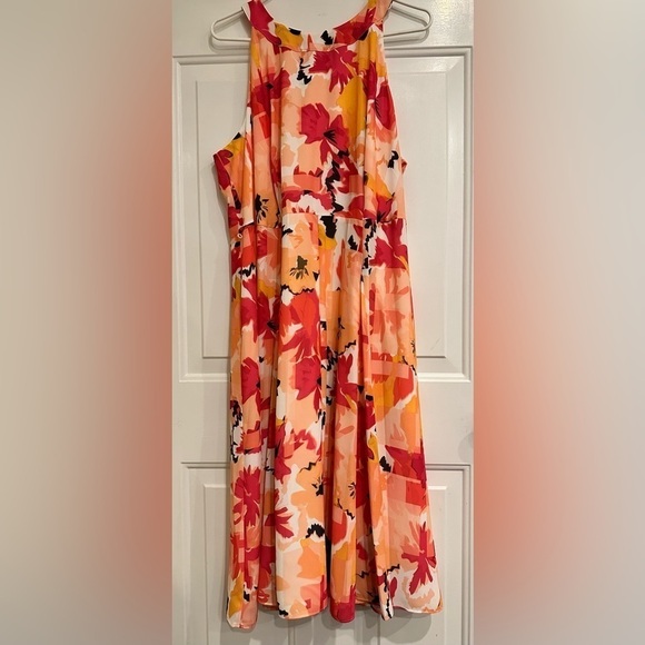 The Limited Dress - Picture 6 of 7